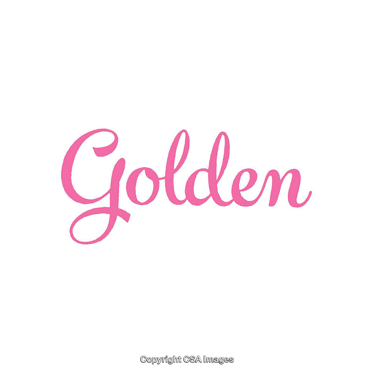 Elegant Pink Script Text Artwork with the Word 'Golden' on White Background