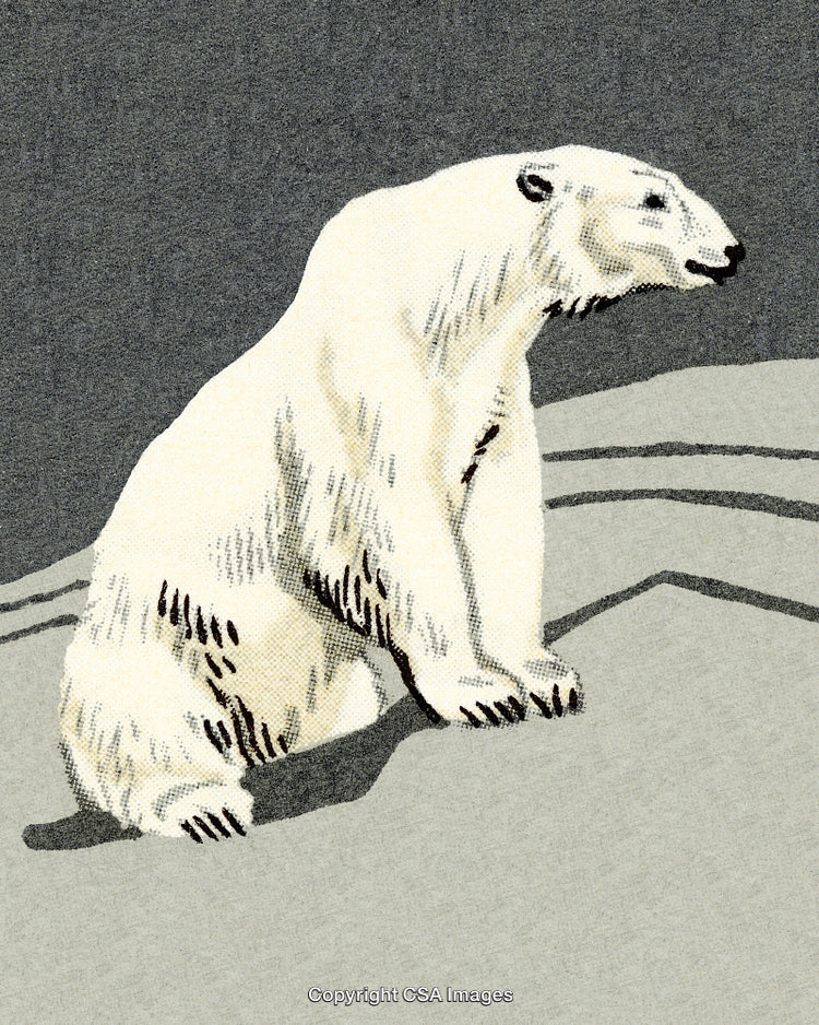 Illustrated Polar Bear Sitting on Arctic Snowy Landscape with Gray Background