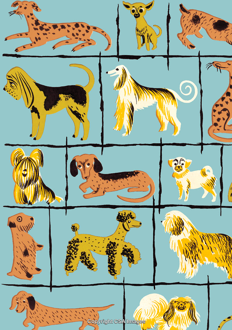Dogs