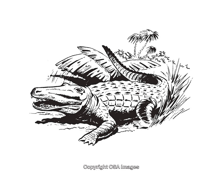 Detailed Black and White Illustration of a Crocodile in Tropical Habitat