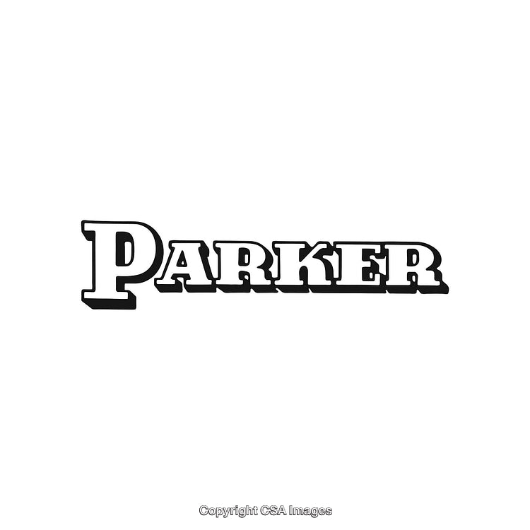 Western-Inspired Bold Text Style with Vintage Serif Typography