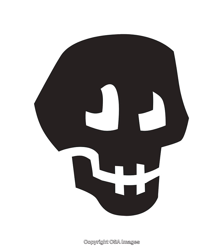 Minimalist Black and White Skull Icon With Abstract Design