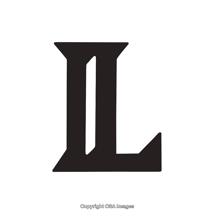 Elegant Black Letter L in Bold Serif Typeface on White Background