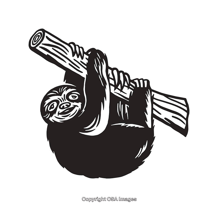 Black and White Line Art of a Sloth Hanging on a Tree Branch