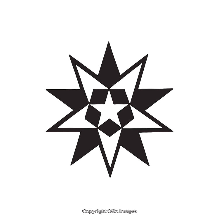 Abstract Black and White Star with Geometric Details