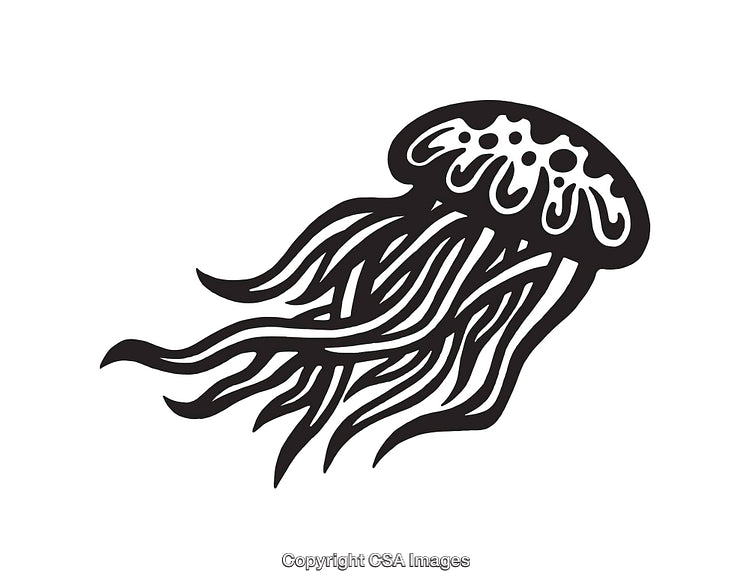 Black and White Jellyfish Line Art Illustration with Flowing Details