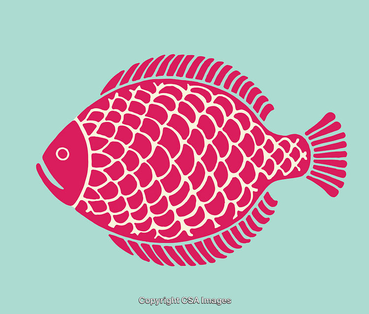 Colorful Stylized Fish Illustration with Pink Details on Blue Background