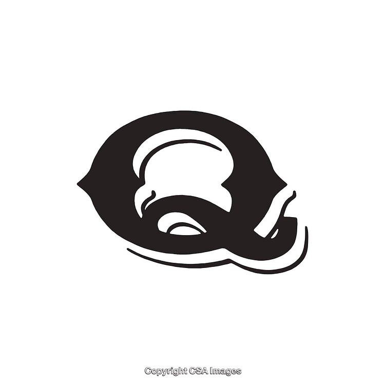 Stylized Black Letter Q With Artistic Flourishes