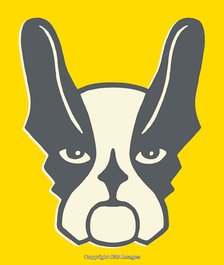 Bold Dog Illustration on Yellow Background for Artistic Designs