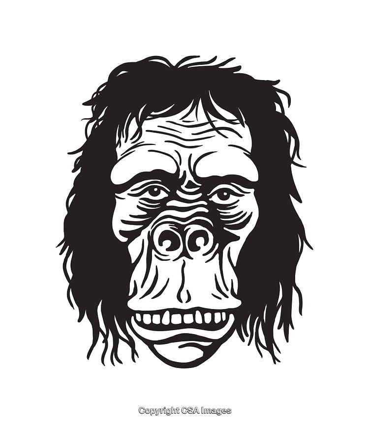 Black and White Illustration of a Primate Face with Detailed Features
