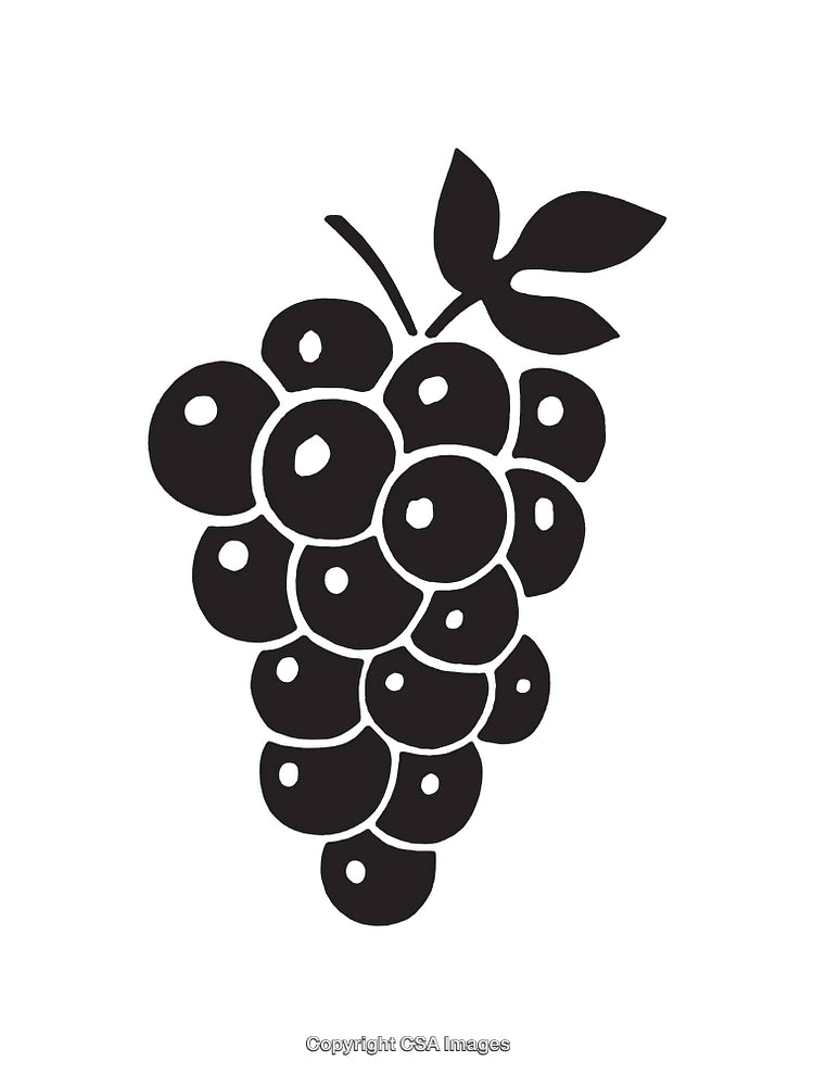 Black and White Grapes Illustration with Leaf Accent