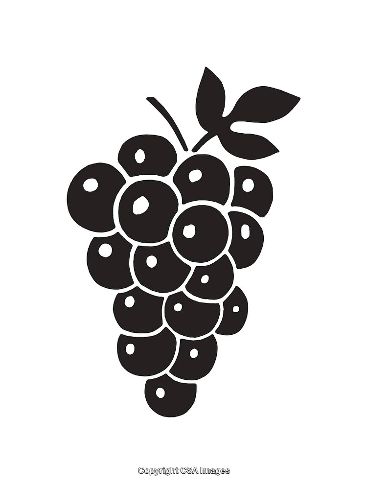 Black and White Grapes Illustration with Leaf Accent