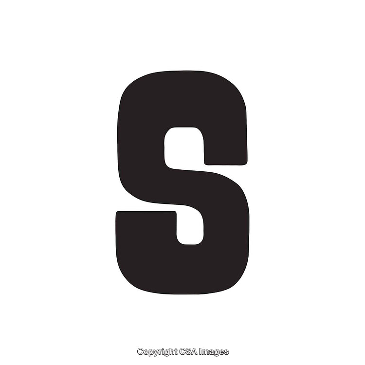 Black Letter S on a White Background in Bold Font