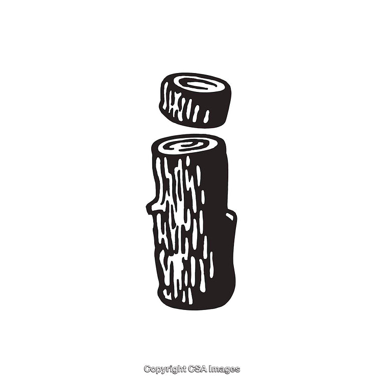 Black and White Wood-Textured Letter I Design Illustration