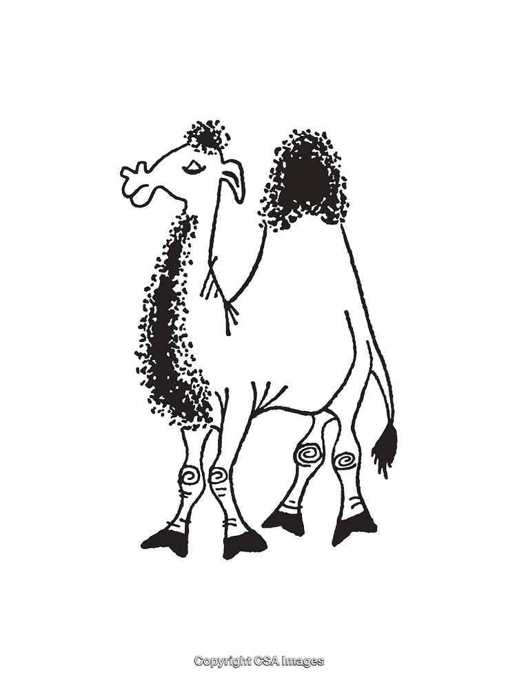 Black And White Line Art Illustration of a Stylized Camel