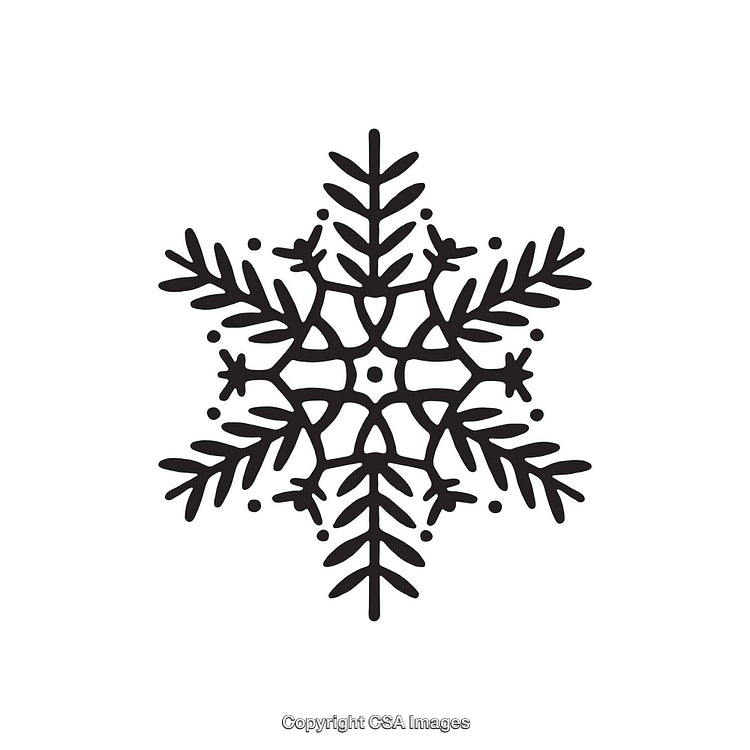Detailed Black Snowflake Icon in Simplistic Dingbat Style
