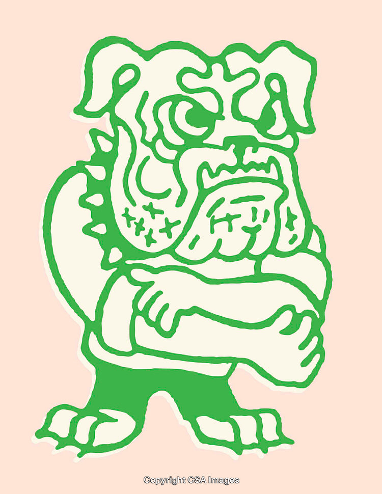 Colorful Illustration of a Stylized Bulldog With Cartoon Features and Bold Lines