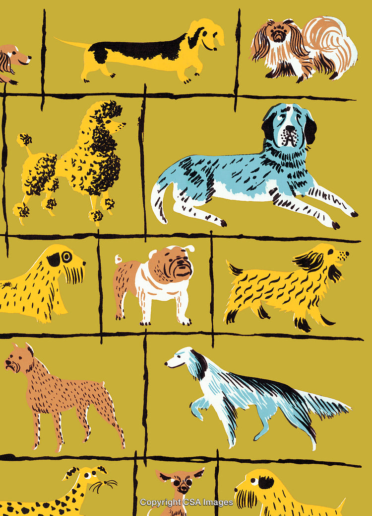 Dogs