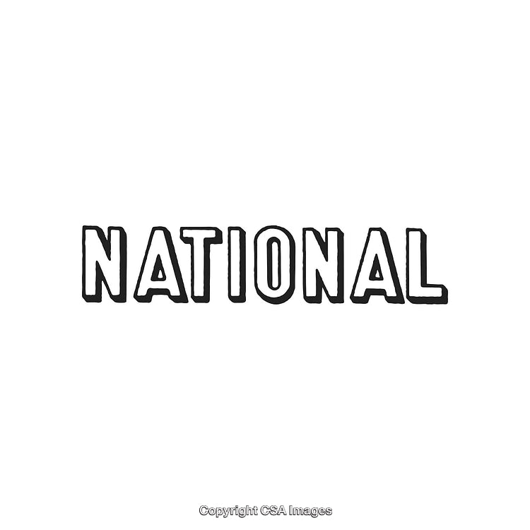 Bold Text Illustration Featuring the Word 'National' in Black Material