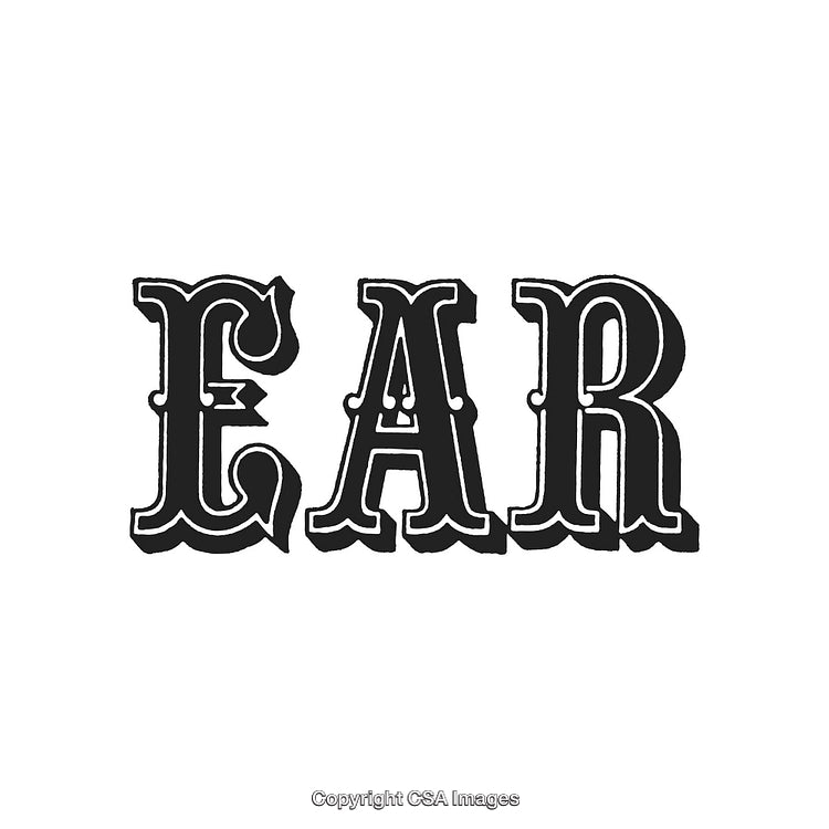 Vintage Typography Design Featuring Elegant and Bold Script Text