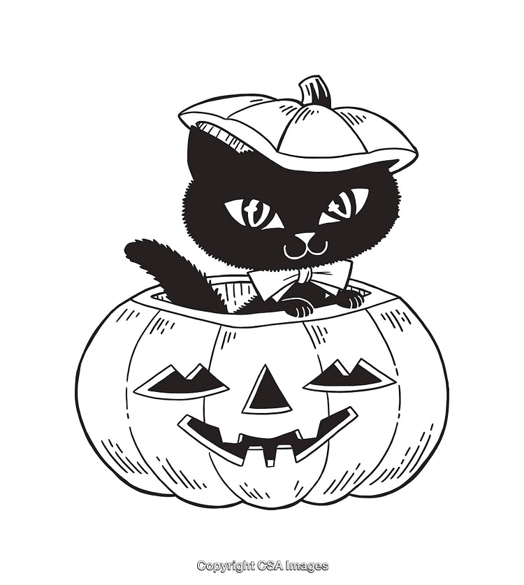 Adorable Black Cat in a Jack-O'-Lantern Line Art Illustration