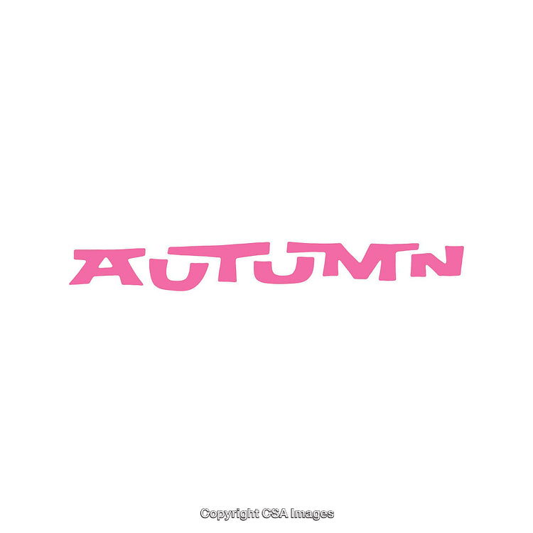 Pink Typography Featuring the Word "Autumn" on a Clean White Background