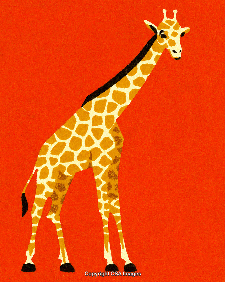 Illustration of a Giraffe on a Vibrant Red Background