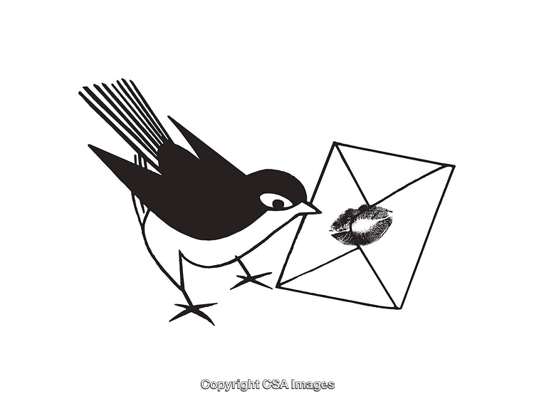 Black and White Bird Carrying a Letter with a Lip Print