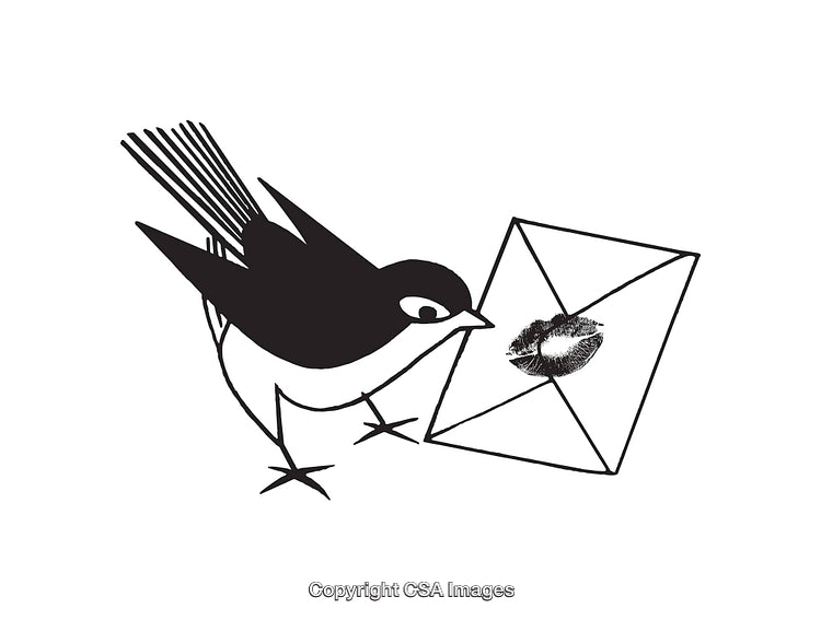 Black and White Bird Carrying a Letter with a Lip Print