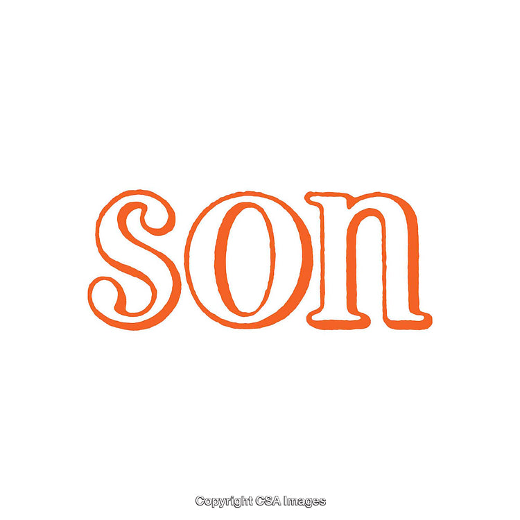 Orange Word Art Typography Design Featuring 'Son' in Bold Styling