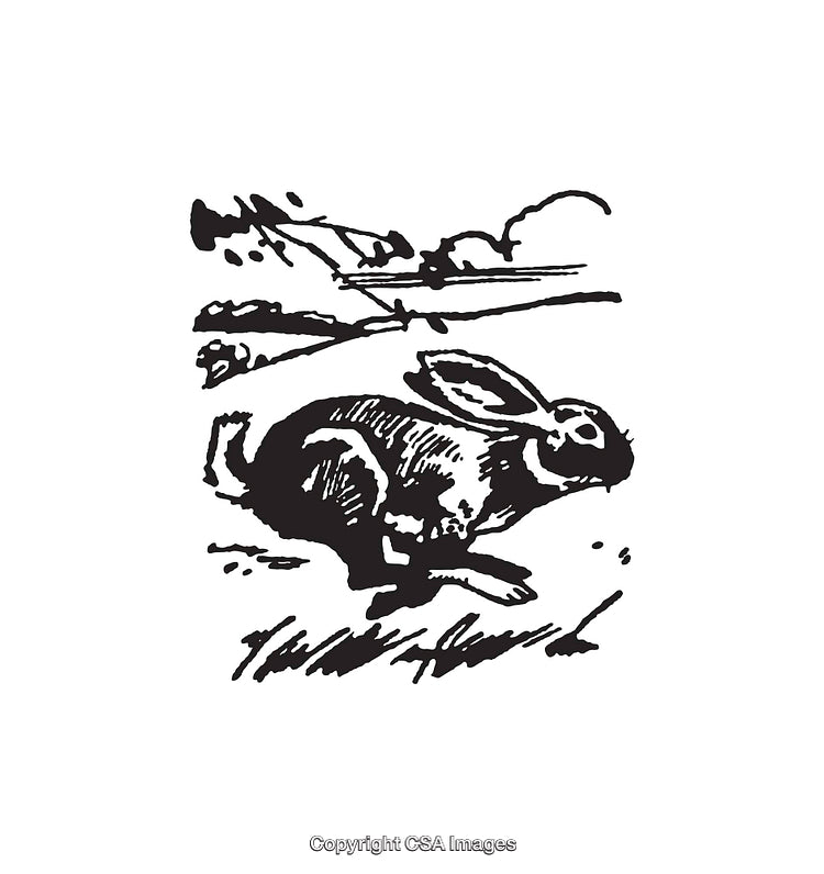 Black and White Line Art of a Hare in Nature Landscape