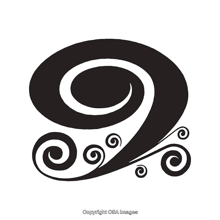 Artistic Black and White Swirl with Decorative Elements