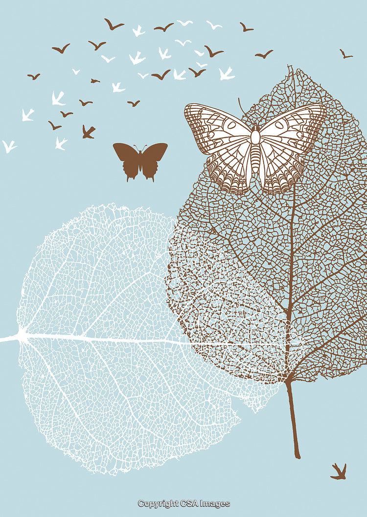 Intricate Butterfly Art with Leaf Skeleton on a Soft Blue Background