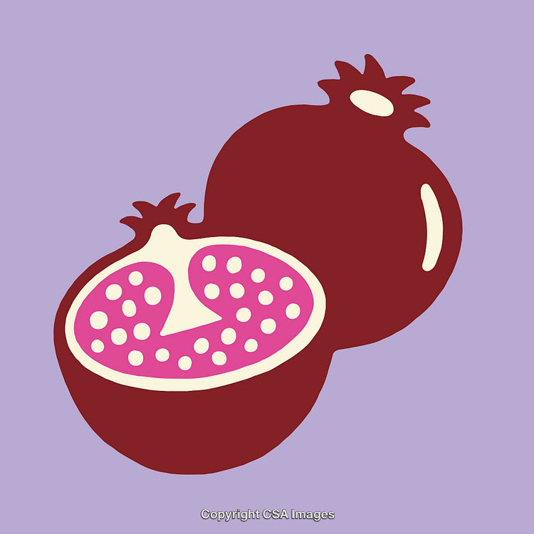 Colorful Line Art Illustration of Pomegranate on a Pastel Background