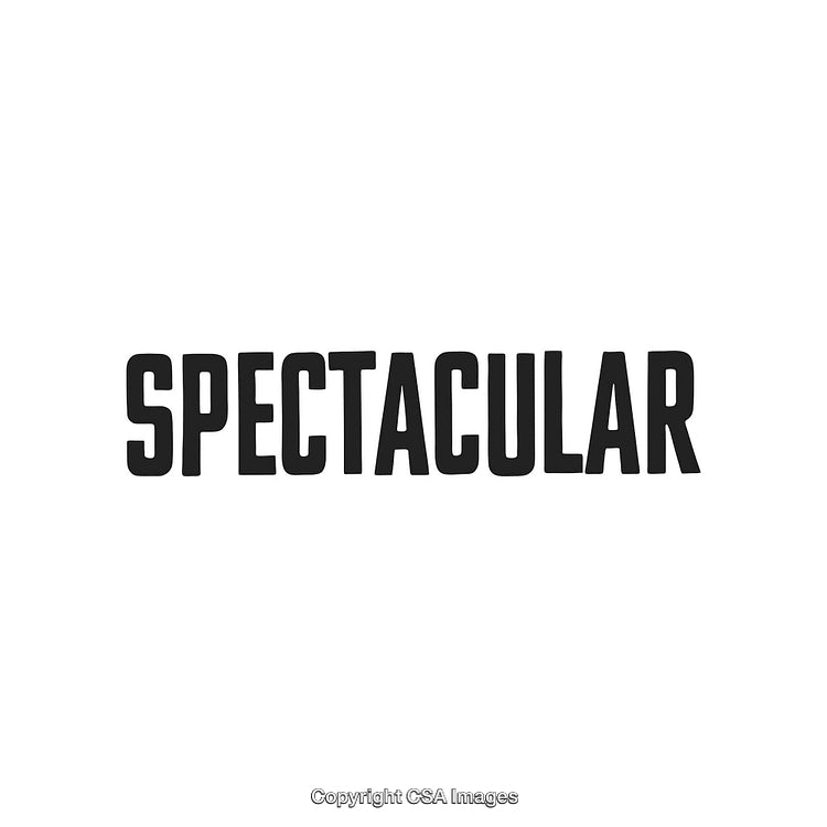 Bold Typographic Design Featuring The Word 'Spectacular' in Black on White Background