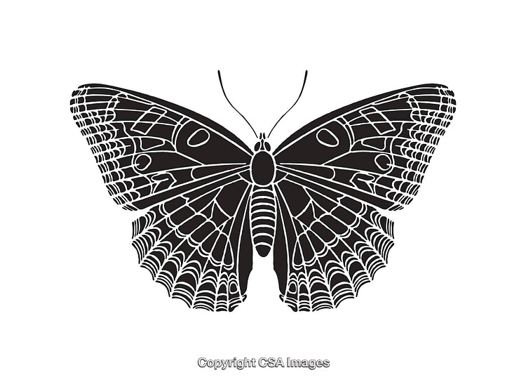 Intricate Black and White Butterfly Line Art Illustration
