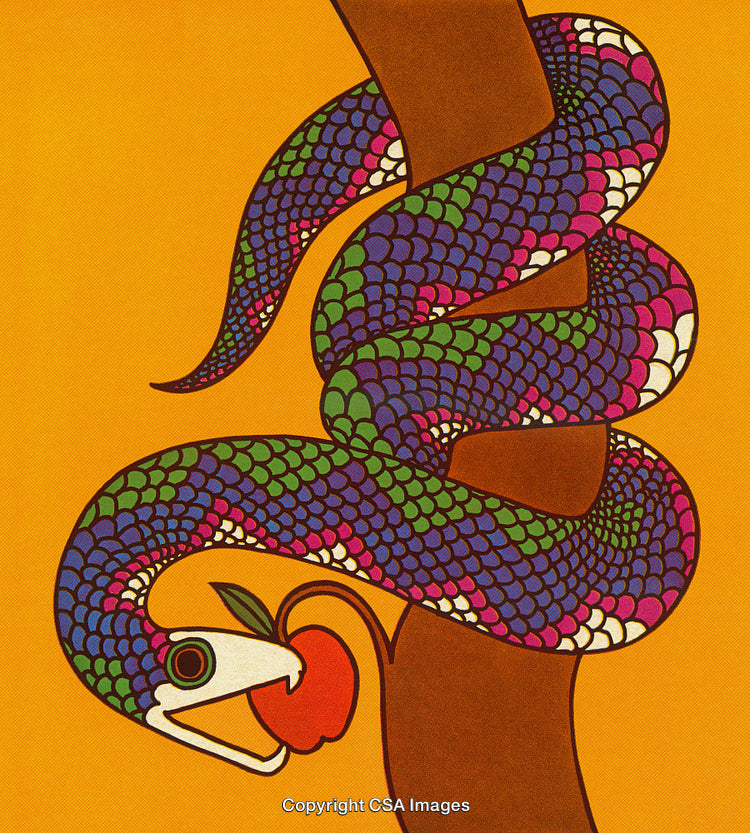 Colorful Snake Coiled Around a Tree Holding an Apple on Bold Background