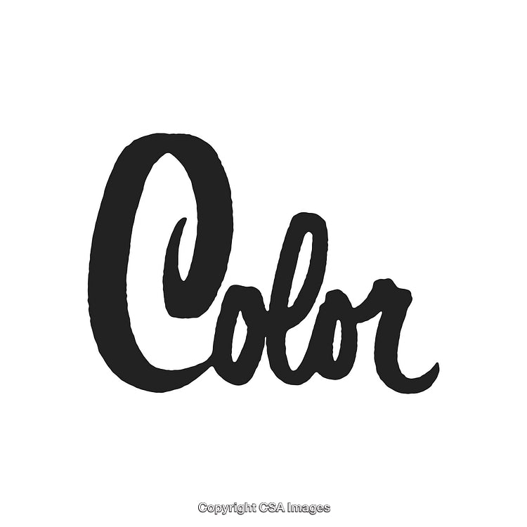 Stylized Black Handwritten 'Color' Text Isolated on White Background