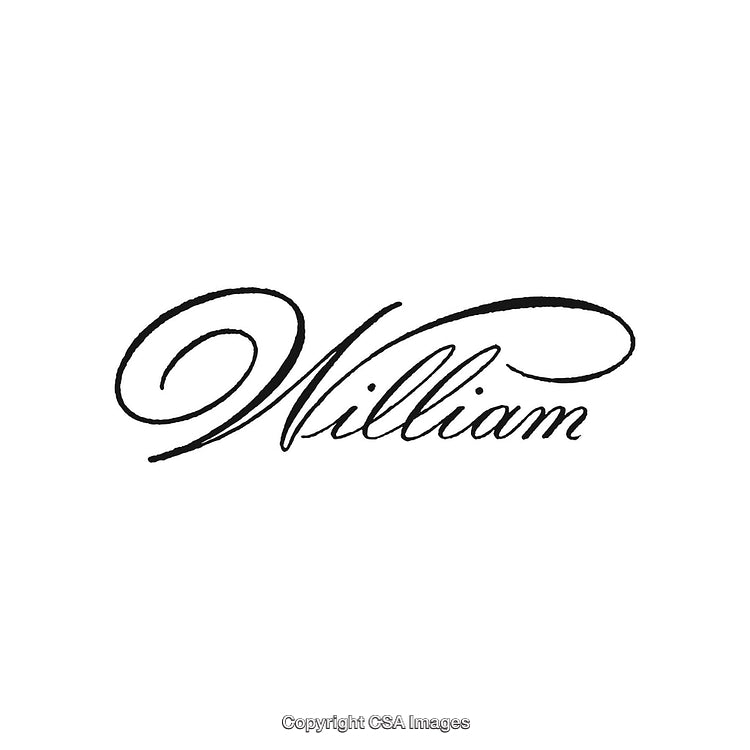 Elegant Calligraphy Design Featuring the Name William on a White Background