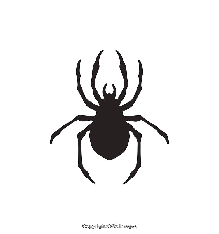 Black Silhouette of a Spider Icon on White Background