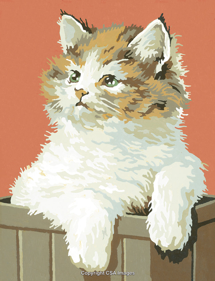 Paint by Number Illustration of a Fluffy Kitten on a Colorful Background