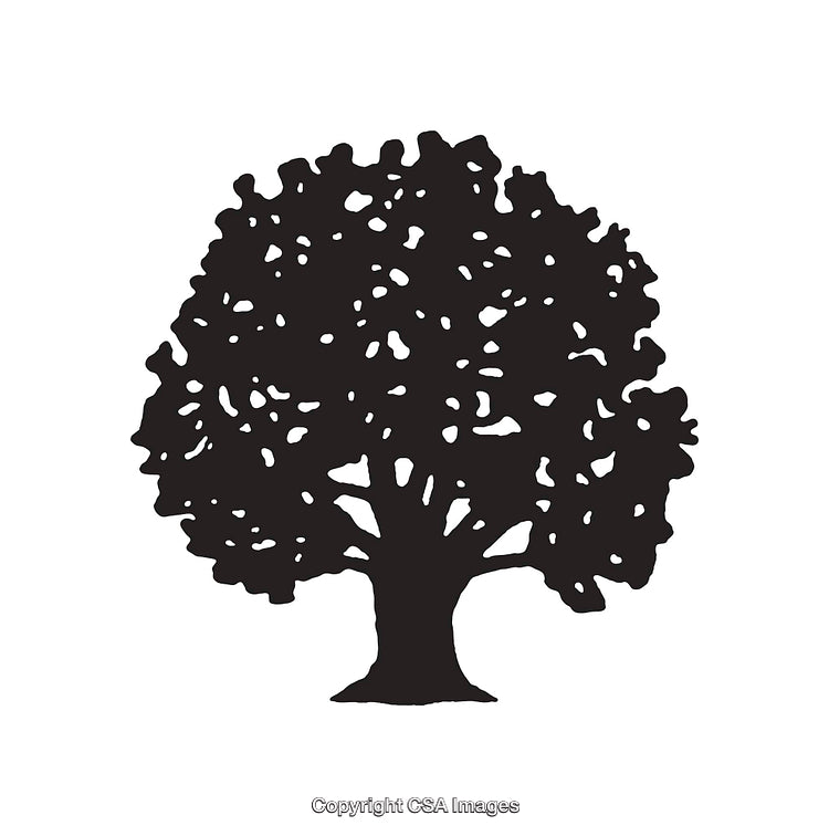 Black and White Silhouette of a Tree with Detailed Branch Pattern