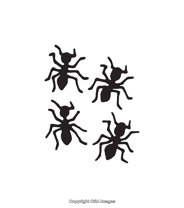 Simple Black and White Ant Icons in Various Orientations