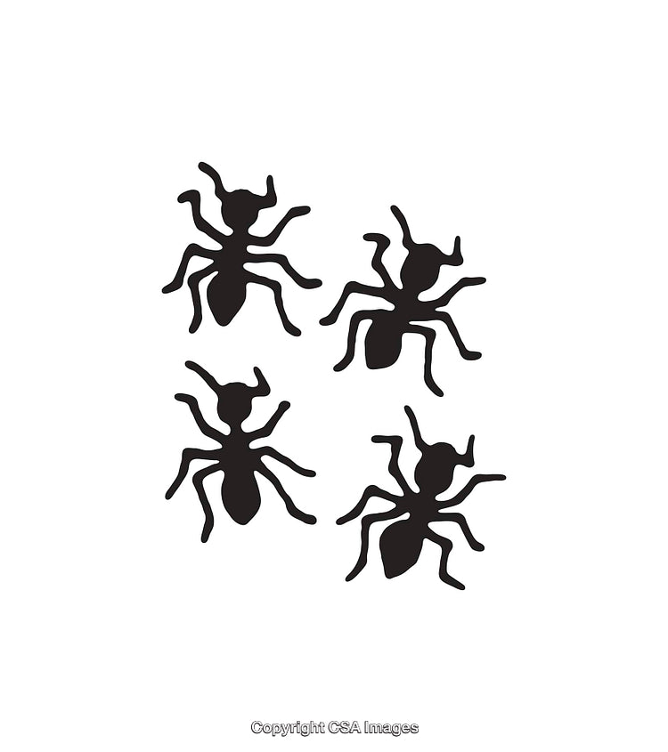Simple Black and White Ant Icons in Various Orientations