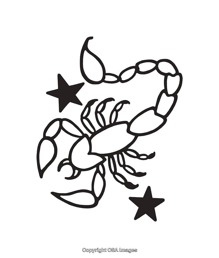 Black and White Line Art Illustration of a Scorpion with Stars