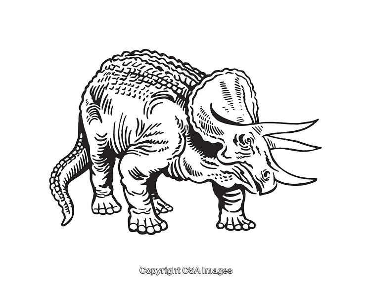 Detailed Black and White Line Art of a Triceratops Dinosaur