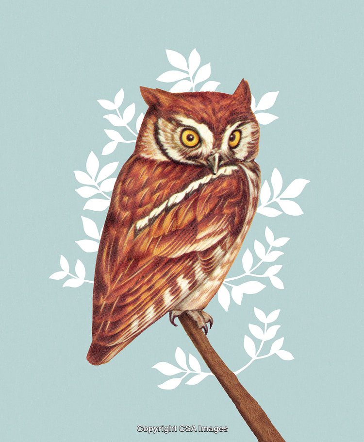 Detailed Illustration of a Brown Owl Perched on a Branch With Leaves