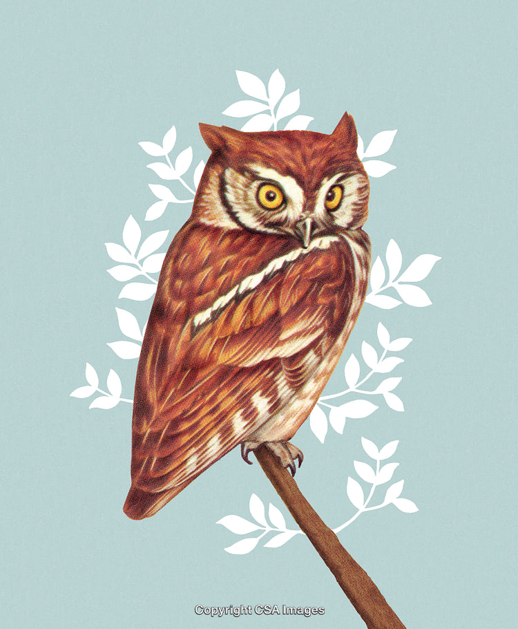Detailed Illustration of a Brown Owl Perched on a Branch With Leaves