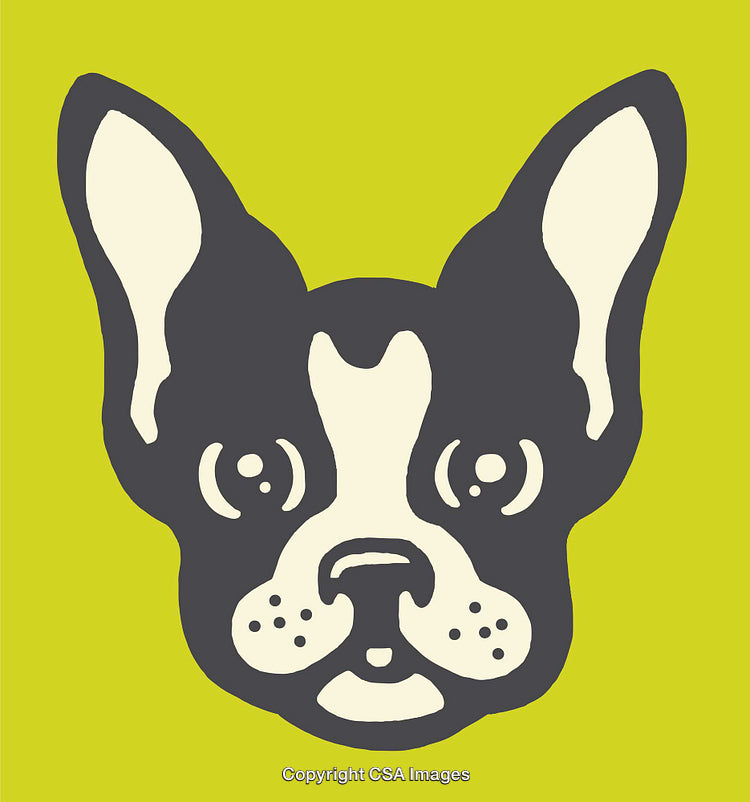 Stylized Illustration of a Boston Terrier Dog Head on Lime Green Background