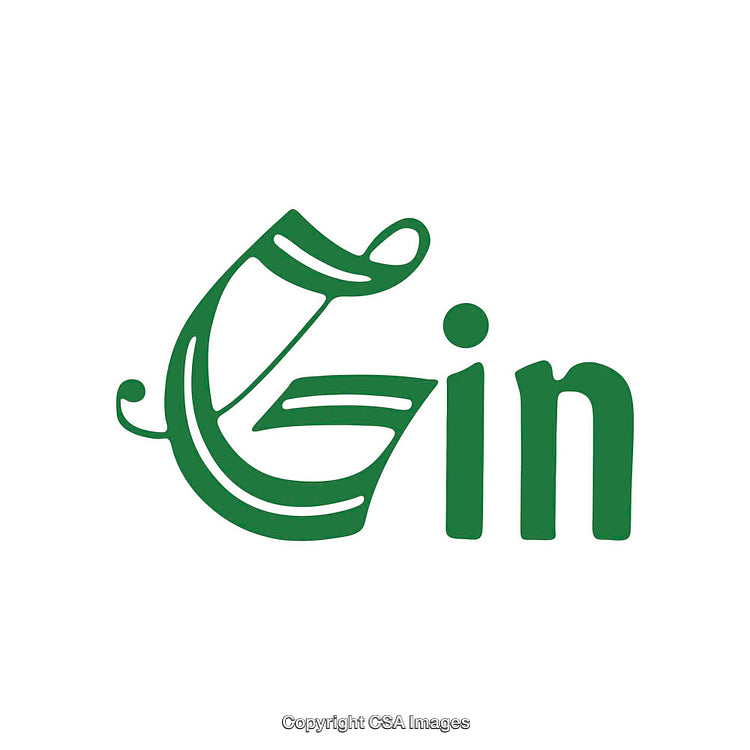 Stylized Typography of the Word 'Gin' in Green Calligraphic Font
